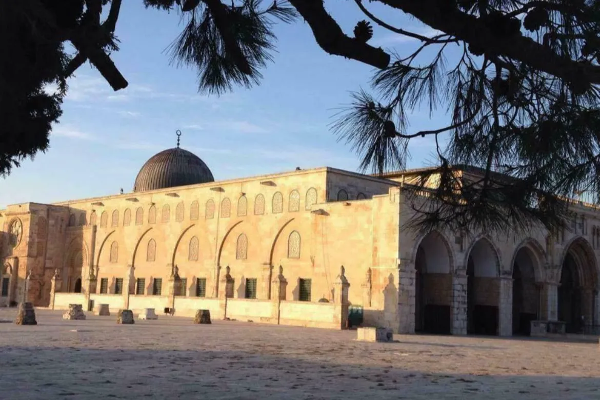 Our Campaigns for the honoured people